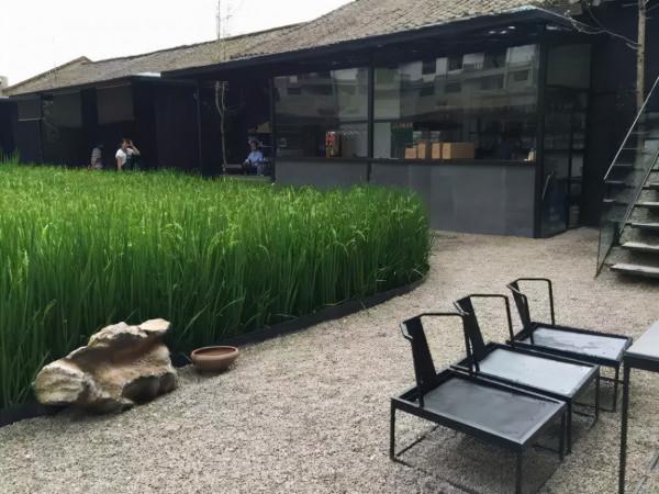 菜吧:稻田裡的民宿,滿足了人們對田園風光的無限遐想 菜吧:稻田裡的民宿,滿足了人們對田園風光的無限遐想