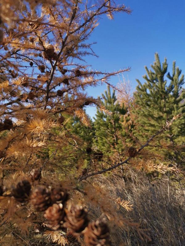 宣化紅一師老戰友遊走大明宣府青邊口，晚秋景色亦迷人