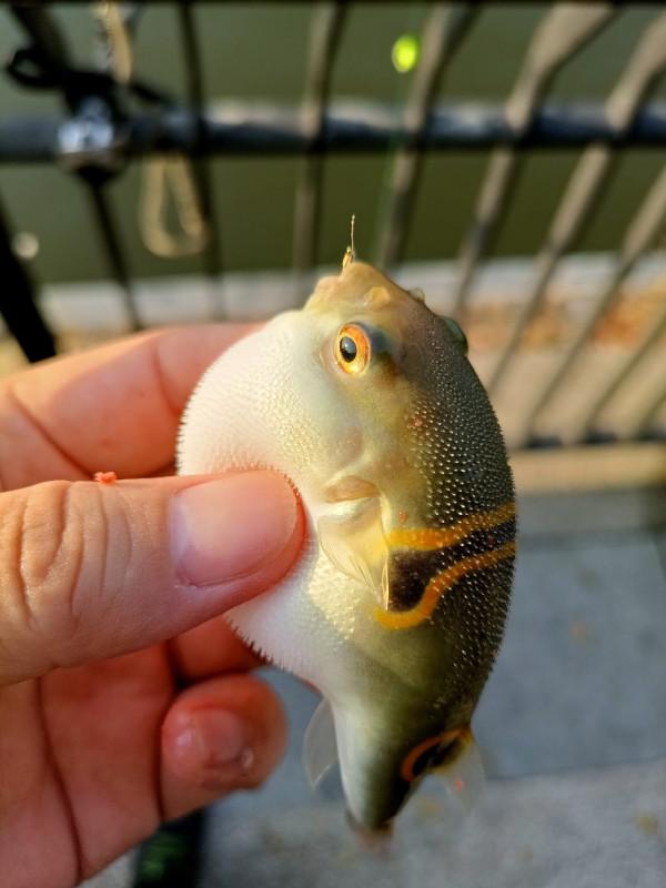 苦守大魚不如改變釣法，說不定也會有驚喜