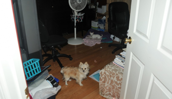 2012年美國男子結婚紀念日家中被捅31刀慘死，妻子突然失憶，為何