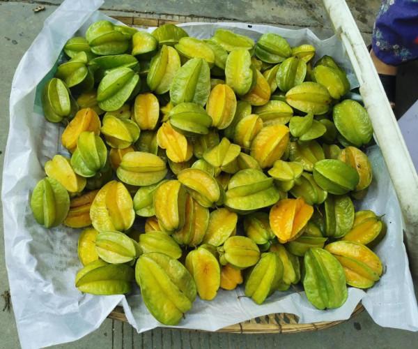 一年難逢的傣族趕擺 一年難逢的傣族趕擺