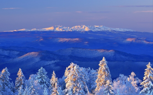 31個東北冷知識，你還知道幾個