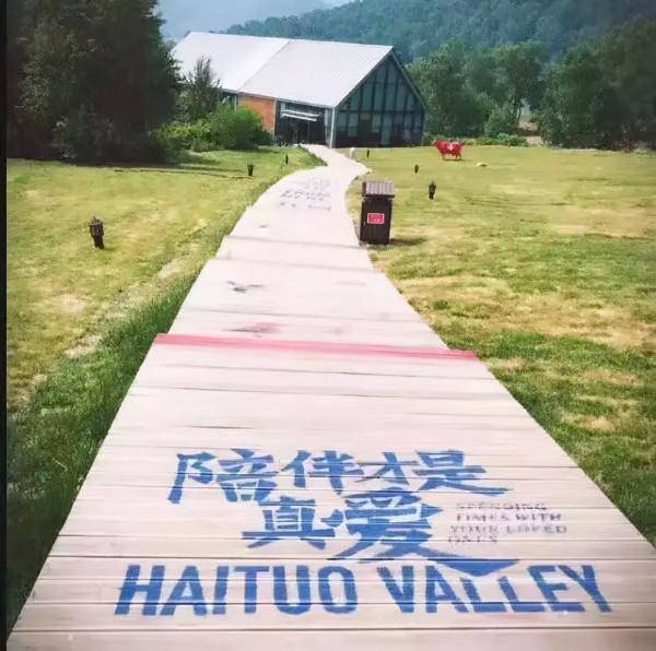 “美國”風情+“瑞士”山谷=中國最火康養小鎮 “美國”風情+“瑞士”山谷=中國最火康養小鎮