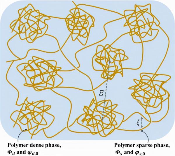 華南理工大學：具有動態 H 鍵的堅韌水凝膠：結構異質性和機械效能