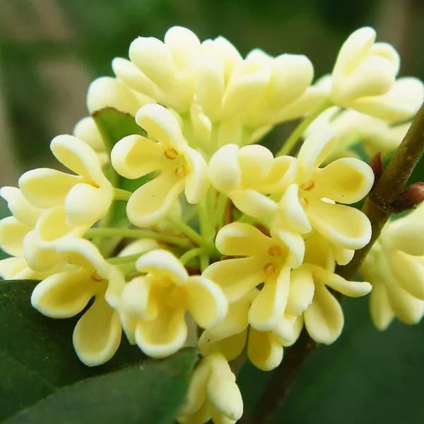 中國的“十大”，快來看看...