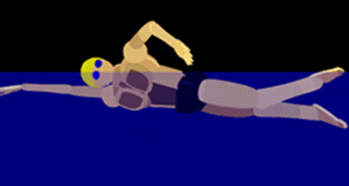 爬泳動作,五個頭部和手部最容易出現的常見錯誤問題 爬泳動作,五個頭部和手部最容易出現的常見錯誤問題