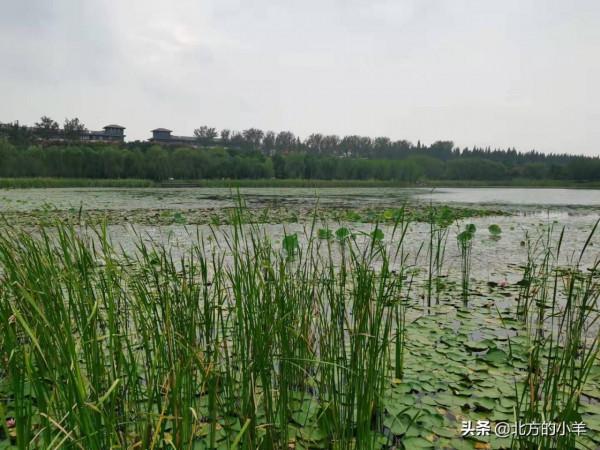 看祖國好風光：泗陽城市生態客廳