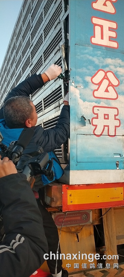 獎勵1000名!河北宏建500公里今天打決賽 獎勵1000名!河北宏建500公里今天打決賽