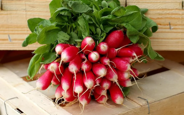 都在喊種菜，這幾種蔬菜一個月就能採收，陽臺也能種