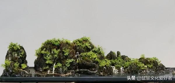 將大自然融入盆景,山石很重要 將大自然融入盆景,山石很重要