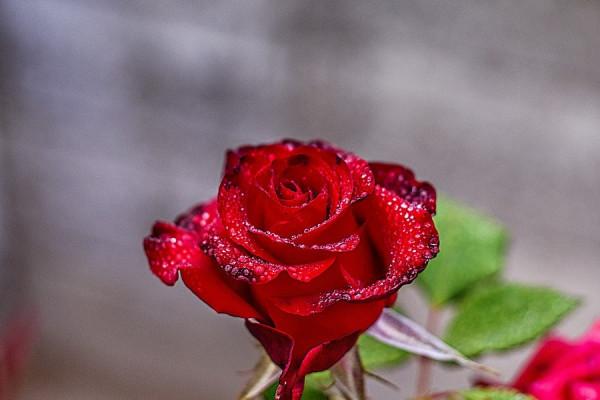 金牛座10月運勢詳解，專注學習，提高自我，自信的感覺會很舒暢