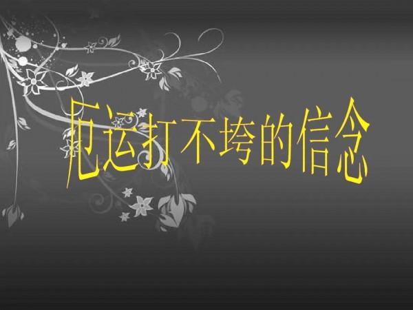 被騙85萬後的第117天，我也擁有非凡的信念（2）