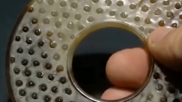 1985年小村莊挖出大型墓葬群，陪葬品價值連城，距今已經5300多年