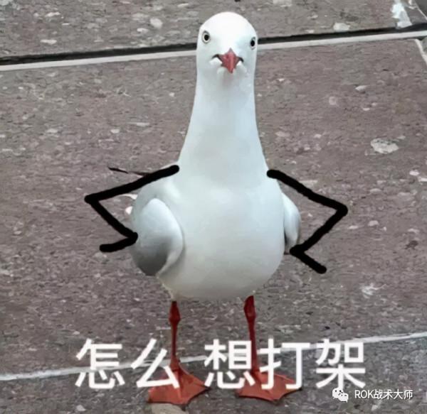 萬國覺醒丨圖拉真實測