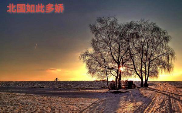 司馬南出生於東北，東北的雪景實在是美