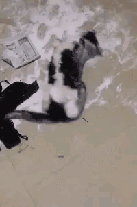 這孩子真可憐，還沒出生政審就過不了！網友：太難了