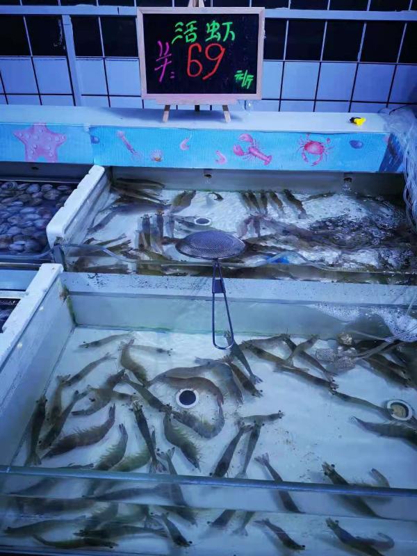 美麗的泡沫?內地工廠化淡水南美白對蝦養殖三年後,我有話要說 美麗的泡沫?內地工廠化淡水南美白對蝦養殖三年後,我有話要說