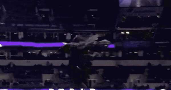 NFL球場驚現黑豹，觀眾都看呆了