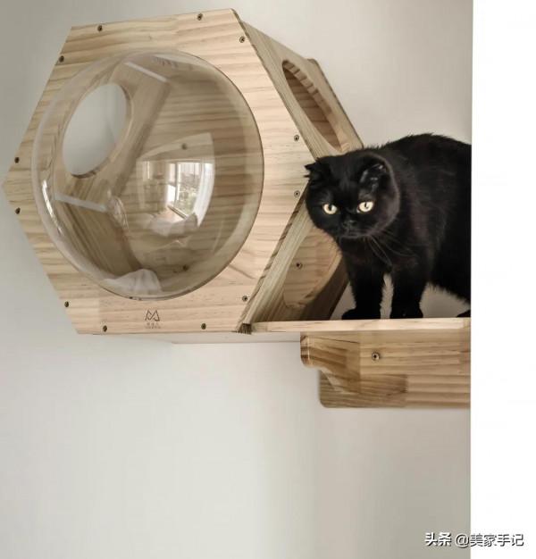 她家不豪華,可還是進門就把我迷住,白牆、原木、少造型,太美了 她家不豪華,可還是進門就把我迷住,白牆、原木、少造型,太美了