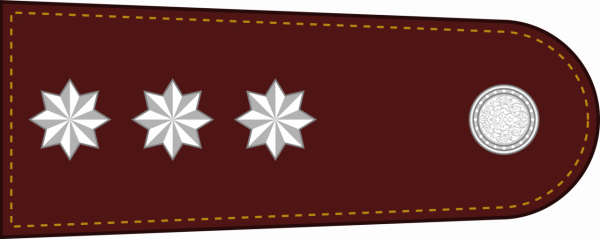 泰國警銜標識 泰國警銜標識