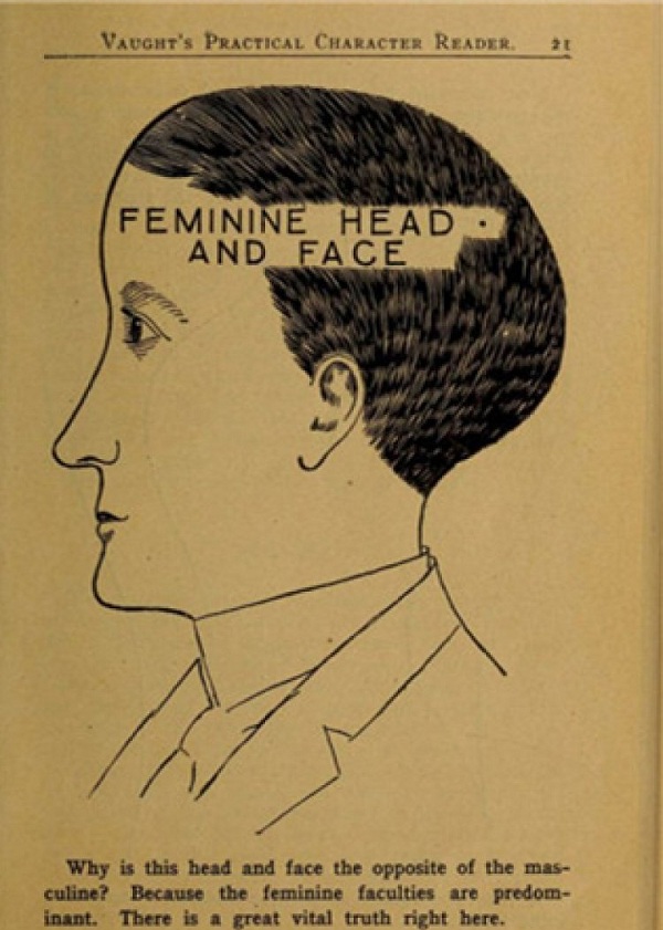 19世紀的女人挑老公 要看腦袋形狀|每天一堂冷知識 19世紀的女人挑老公 要看腦袋形狀|每天一堂冷知識