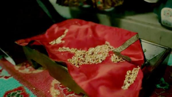 《風起洛陽》剛播四天,居然火了一個胖丫鬟? 《風起洛陽》剛播四天,居然火了一個胖丫鬟?