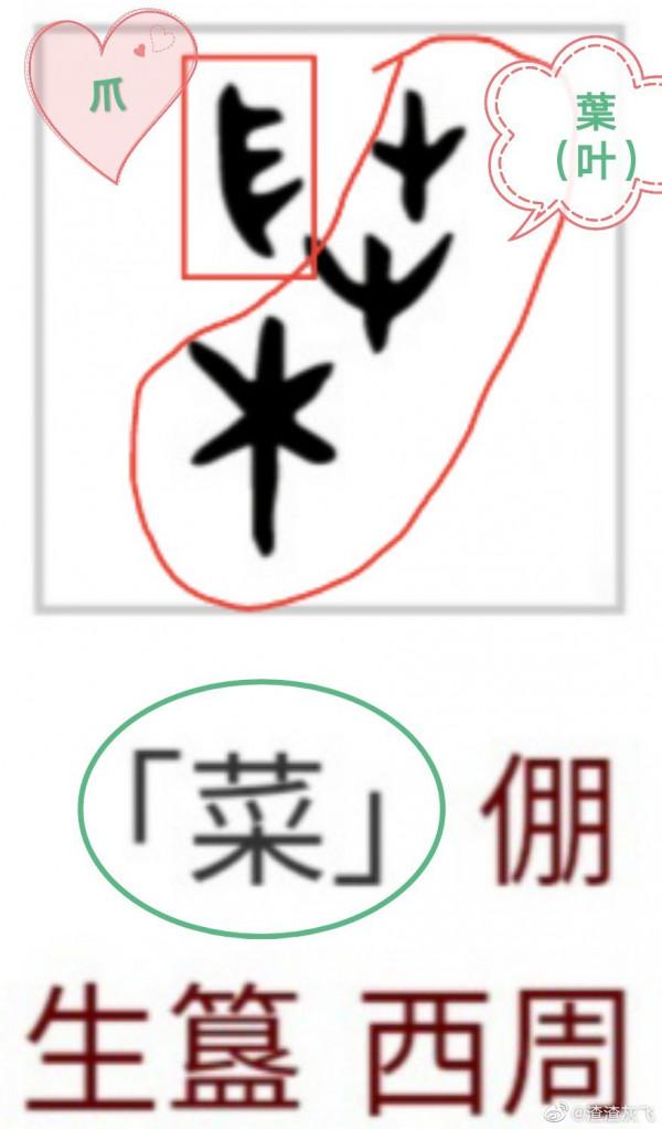 說文解字：什麼是“蔬菜”？