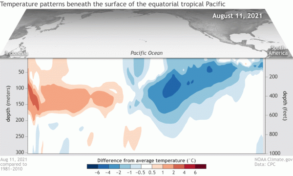 快速變冷!一次拉尼娜事件正在醞釀之中,對今冬的影響值得關注 快速變冷!一次拉尼娜事件正在醞釀之中,對今冬的影響值得關注