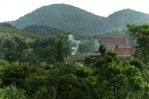「散文」大山深處有炊煙