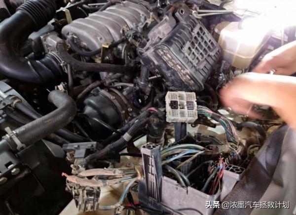 「縱橫四海」老夥計的重生之旅，一起暫別城市的方圓化身曠野的風