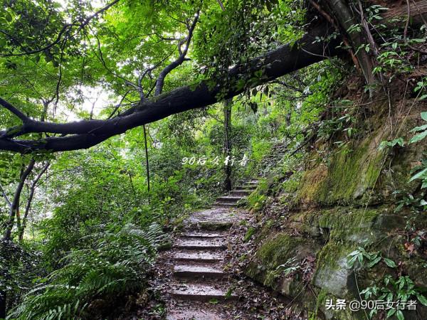 成都蒲江與眉山交界處有座道教仙山，歷史悠久古蹟眾多卻少有人知