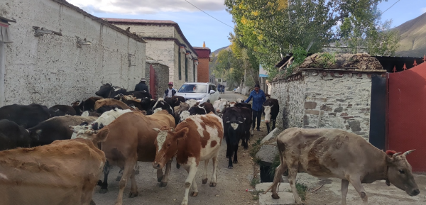 西藏遊記·眼睛一直在天堂 西藏遊記·眼睛一直在天堂