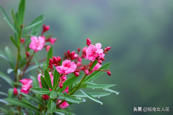 在逆境中才認識了涼薄的人心，自己選的路，跪著也得走完