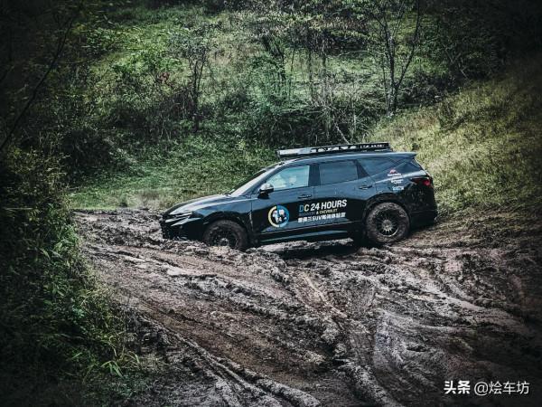 與中國貝爺一起在原始森林探索植物秘境 這很“開拓者” 與中國貝爺一起在原始森林探索植物秘境 這很“開拓者”