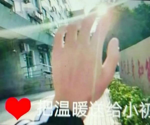 眉眼如初續 我後悔是一隻貓了 眉眼如初續 我後悔是一隻貓了