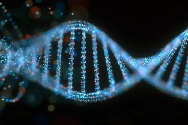 英偉達GPU化身造物主 20分鐘從原子開始3D模擬活細胞，含500個基因