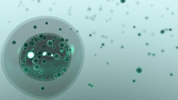 致癌基因會遺傳嗎？癌症家屬的患癌風險有多大？