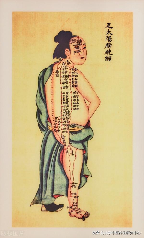 膀胱及足太陽膀胱經