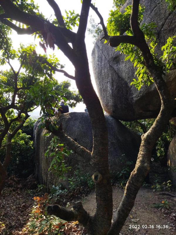 石巖防範區別有的風景