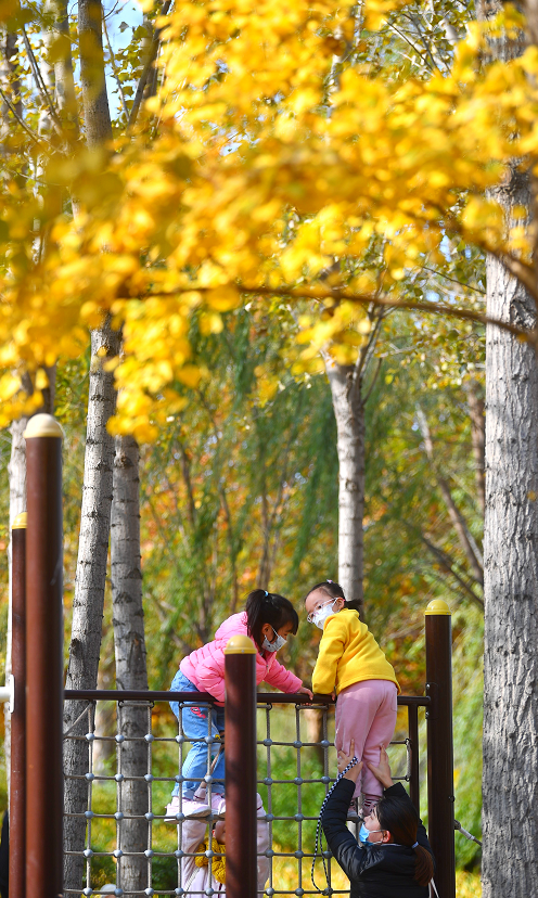 彩葉和笑容同輝！看娃娃們如何抓住“秋天的尾巴”