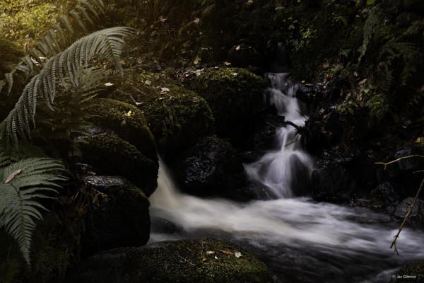 森養SAMYANG 正式釋出AF 50mm F1.4 二代 FE卡口