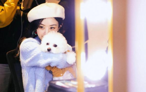 趙麗穎拍攝妻子的秘密的時候把毛球帶回家，如今已經陪伴穎寶十年