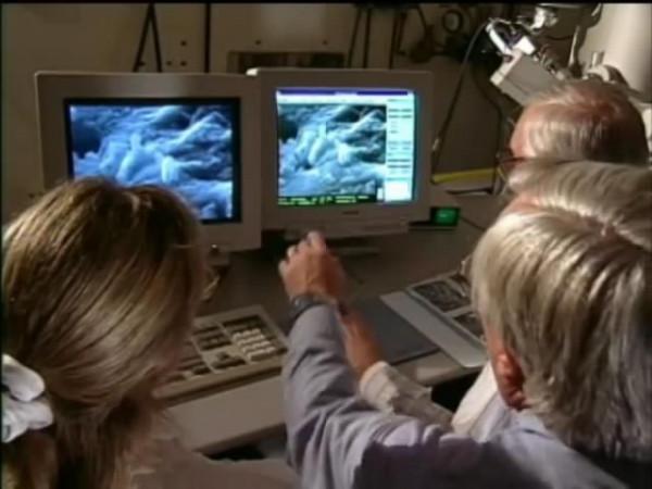 火星上有過生命嗎?早在25年前就被證明,隕石ALH84001的故事 火星上有過生命嗎?早在25年前就被證明,隕石ALH84001的故事