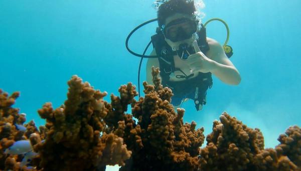 大溪地 Tahiti之旅