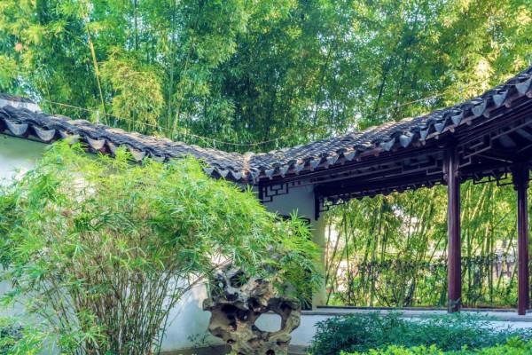 既有悠悠歷史，又有俗世煙火，來南京看看吧