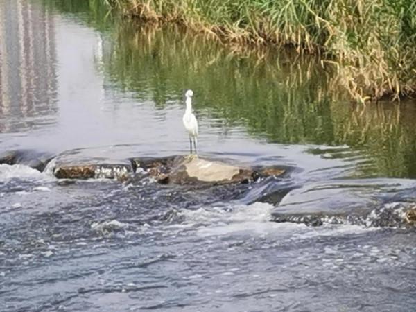 你常有與孩子有效溝通嗎？