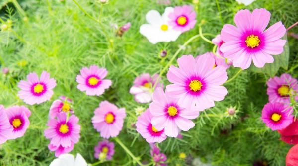 當你負債累累時，想要“鹹魚翻身”，需要學會這“四個穩”