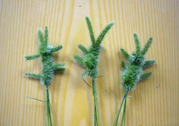 所有80、90後的“老同志”請進來,瞧瞧這些東西你認識哪一個... 所有80、90後的“老同志”請進來,瞧瞧這些東西你認識哪一個...