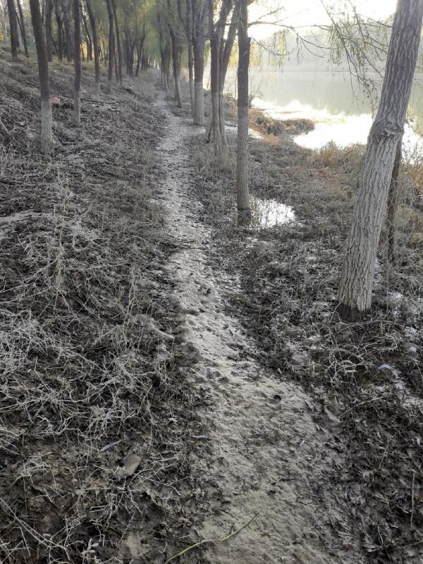 [十週年亅艱難釣魚路,我用妙招撬開鯽魚口 [十週年亅艱難釣魚路,我用妙招撬開鯽魚口
