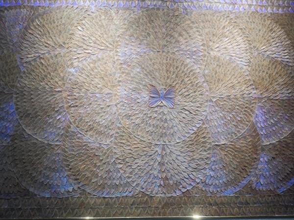 深秋的蝴蝶 深秋的蝴蝶